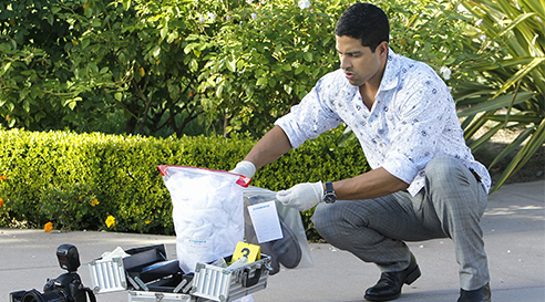 Les experts Miami S9 La partenaire ideale.jpg