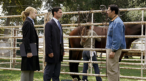 On acheve bien les jokeys.jpg