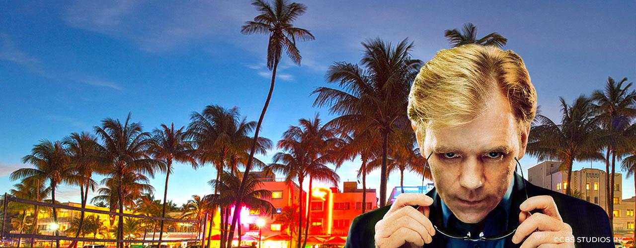 Les experts Miami